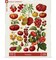 New York Puzzle Company Tomatoes 500 Piece Piece Jigsaw Puzzle